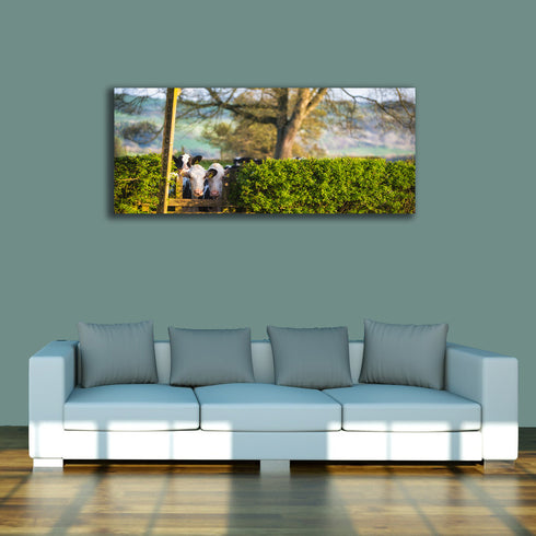 PANORAMIC - NO RIGHT OF WAY - 1.2m x 50cm